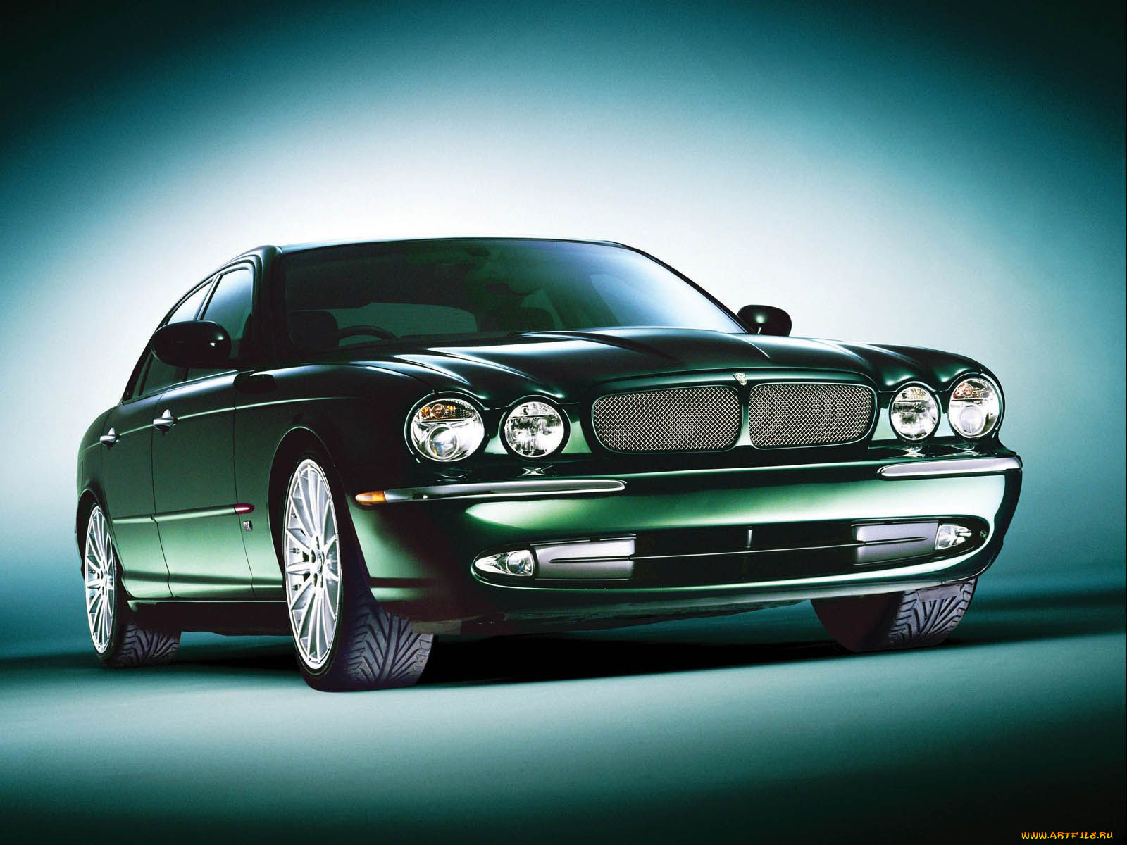, jaguar